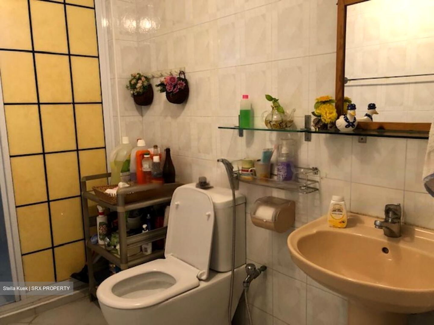 Beauty World Centre (D21), Apartment #441506741